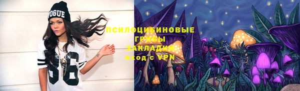 соль курить ск Алзамай