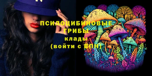 соль курить ск Алзамай