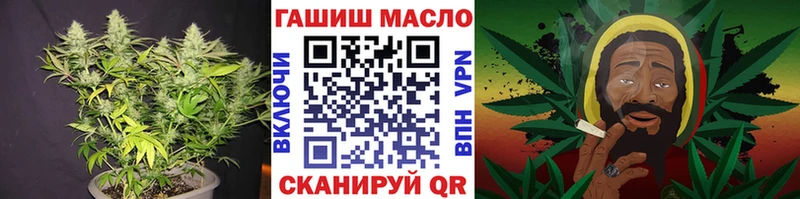 цена   Алзамай  Дистиллят ТГК THC oil 