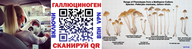 Псилоцибиновые грибы мицелий  Алзамай 
